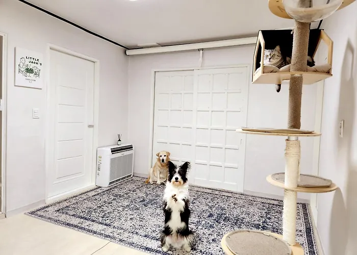 Ilbo With Dog & Cat Homestay