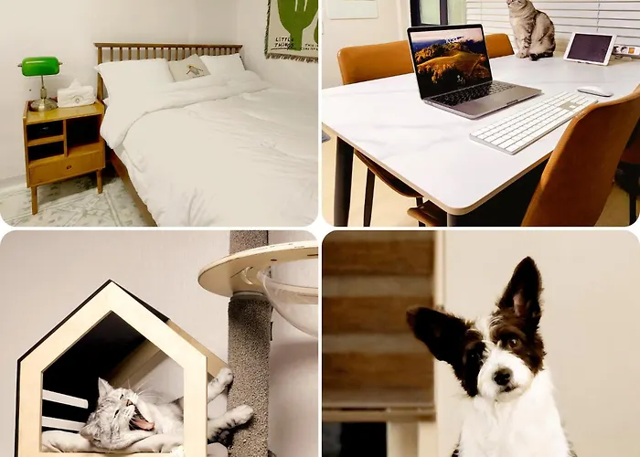 Ilbo With Dog & Cat Homestay Seoul