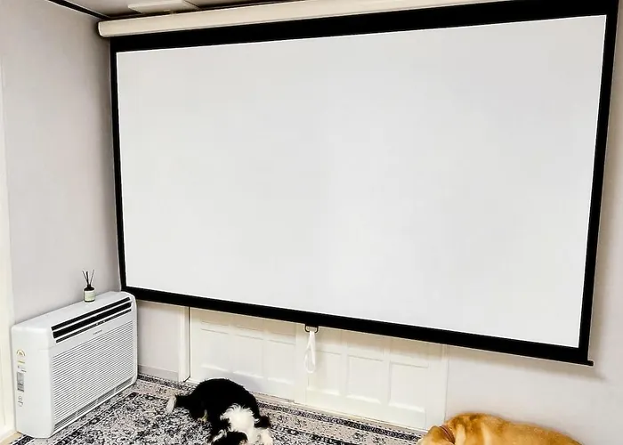 Ilbo With Dog & Cat * Seoul