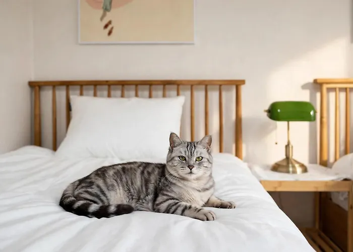 Ilbo With Dog & Cat
