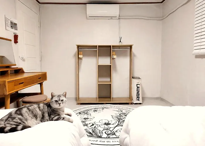 Accommodatie bij particulieren Ilbo With Dog & Cat *