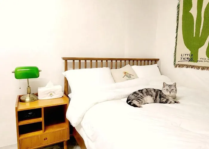 Ilbo With Dog & Cat *